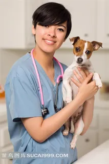 宠物护理系列 - 抱着小狗的女医生