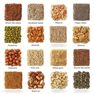 各类果仁标识高清图片