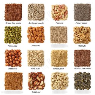 各类果仁标识高清图片