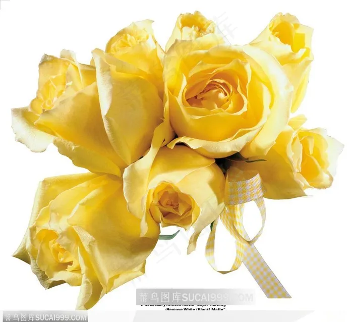 玫瑰花束-精美的黄色玫瑰花
