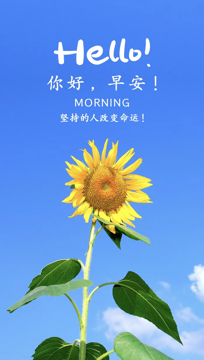 向日葵绽放天空背景你好早安每日一签手机UI海报手机海报psd模版下载