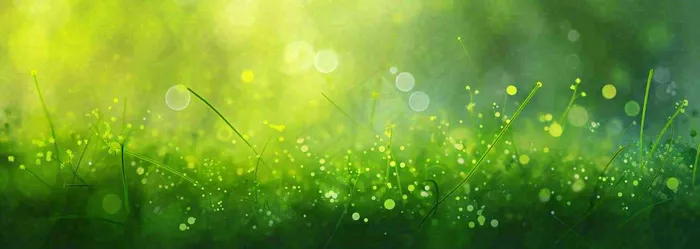春天夏天绿色草地清新，春分立夏插画背景(1840x656)