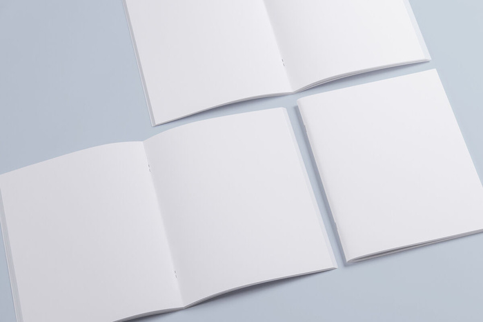 产品画册提案效果样机模板