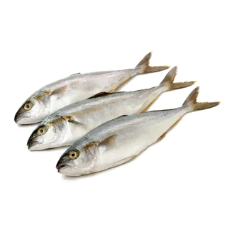 鱼类(85)海鲜超市商品红酒白底图免抠实物摄影png格式图片透明底