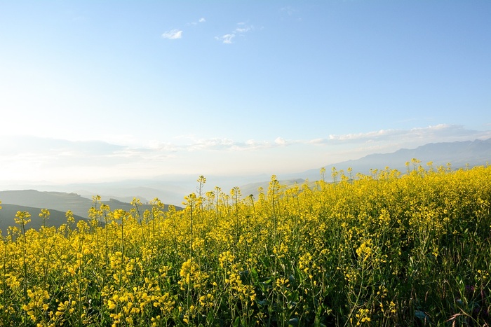 冬天自然背景风景
