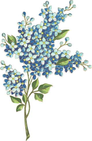 古典花卉png免扣素材