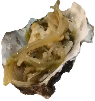 高清免抠实拍摄影生蚝蒜蓉花甲贝壳扇贝乳山