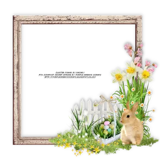 相框兔子卡通
