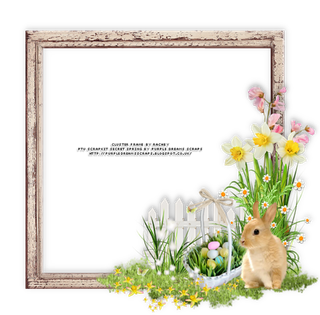 相框兔子卡通