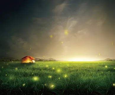 夜晚草地星空风景图片