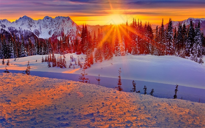 美国华盛顿城市与自然风景夕阳雪山森林图片