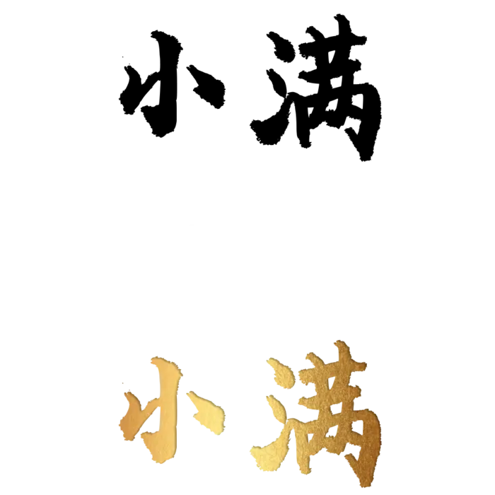 二十四节气免扣素材黑色白色烫金小满毛笔字