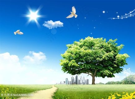 绿化环保建筑韩式自然背景