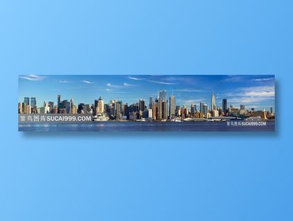 纽约城市全景图