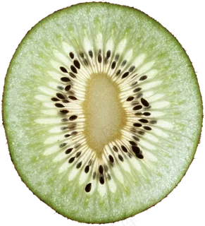 猕猴桃免抠素材 (19)