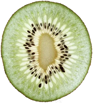 猕猴桃免抠素材 (19)