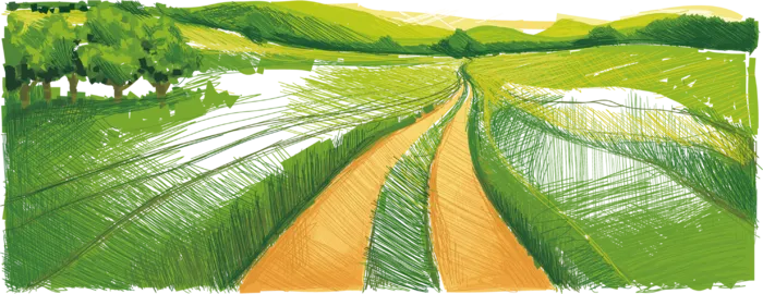 田野风景卡通