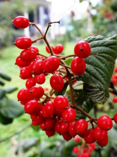 滋补养生图片下载 滋补养生图片下载