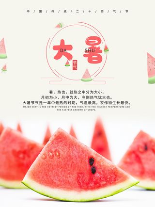 传统节气大暑海报