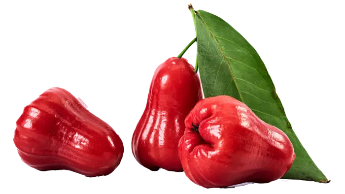 莲雾 (2)水果超市商品白底图免抠实物摄影png格式图片透明底