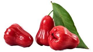 莲雾 (2)水果超市商品白底图免抠实物摄影png格式图片透明底