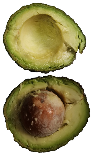 两个半圆牛油果切开去核果绿色油脂瓤免抠摄影实拍实物元素素材