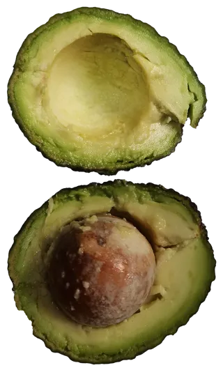 两个半圆牛油果切开去核果绿色油脂瓤免抠摄影实拍实物元素素材