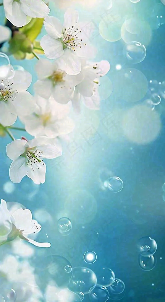 唯美清新白色鲜花，文艺新鲜浪漫情人节摄影图(816x1488)