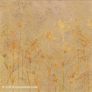 高清精美背景花纹图片下载