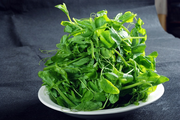 豆尖火锅配菜美食设计素材