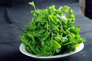 豆尖火锅配菜美食设计素材