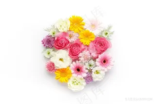 洁白背景上的花束