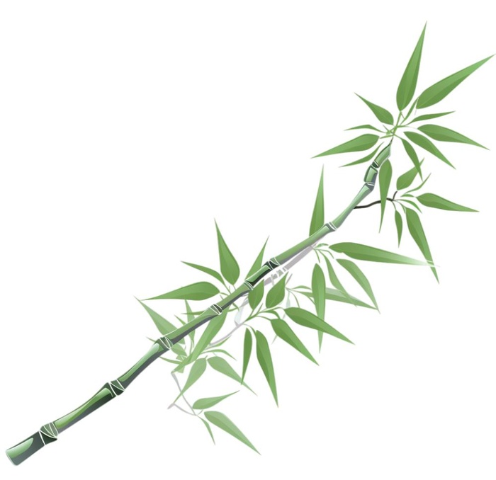 竹叶绿色元素