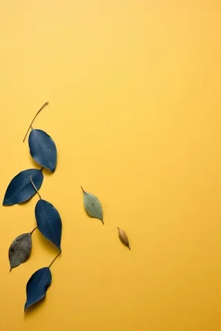 落叶秋叶平铺简约大气背景