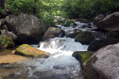 山林中石块间流动的小溪 山林中石块间流动的小溪
