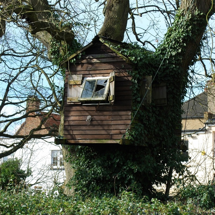 具有年代感的树屋