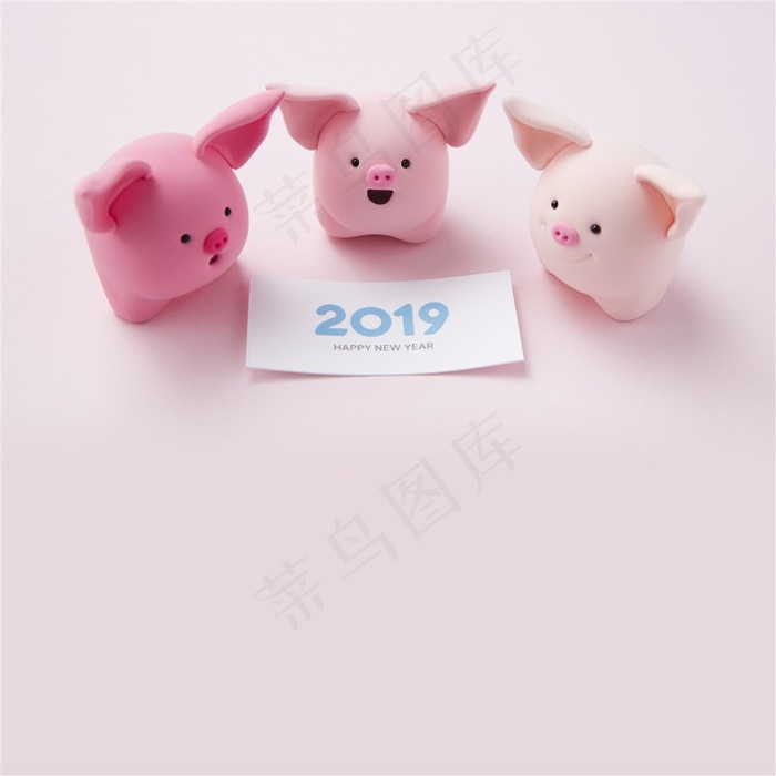 2019三只呆萌小猪高清图片