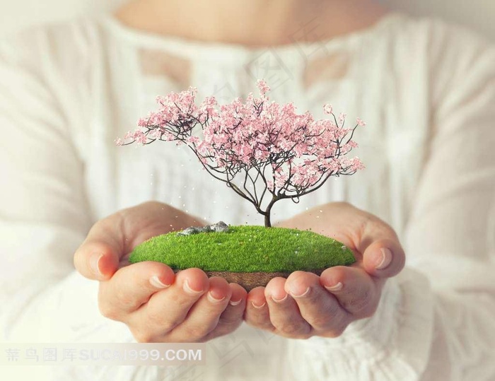 手捧植物盆景的人物高清图片