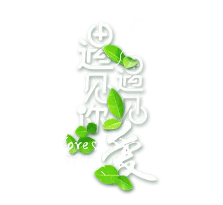 遇见你遇见爱情人节