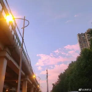 路边路灯下