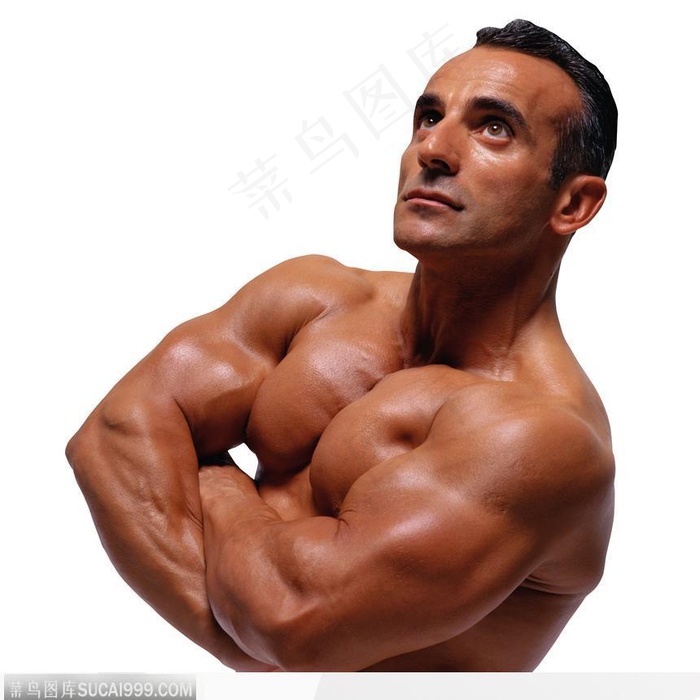 男性健美系列24