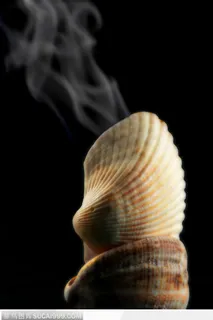 香烟迷绕-贝壳中燃烧的香
