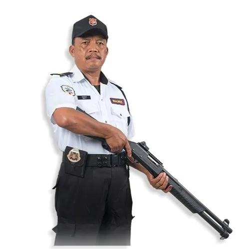 警卫, 安全 PNG免抠(481x500)