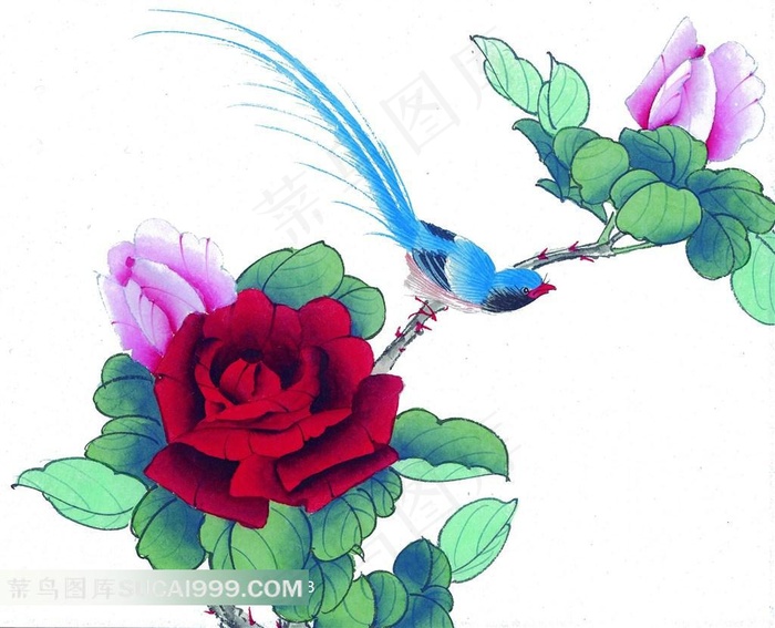 工笔花鸟画素材