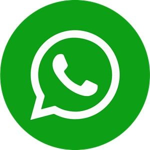 Whatsapp PNG免抠(300x300)