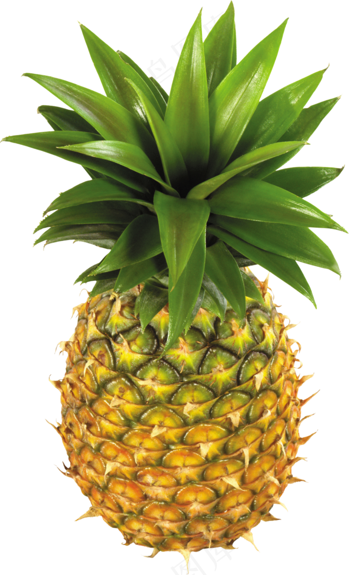 PNG 菠萝 