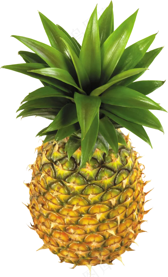 PNG 菠萝 