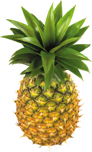 PNG 菠萝 