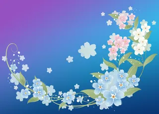 蓝色小清晰花卉图案