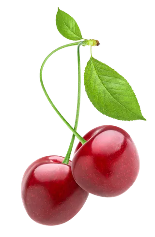 樱桃 (19)水果超市商品白底图免抠实物摄影png格式图片透明底